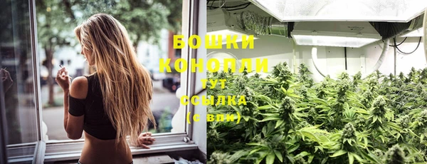 PSILOCYBIN Балабаново