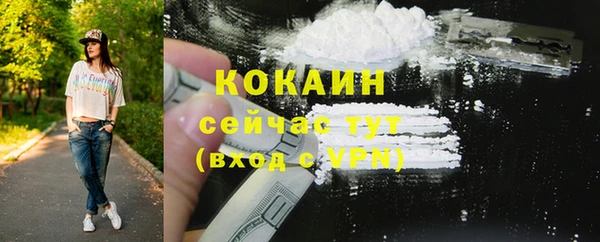 стаф Жердевка