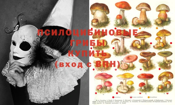 PSILOCYBIN Балабаново