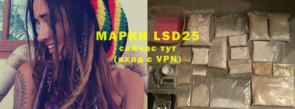 PSILOCYBIN Балабаново