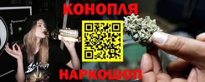 хмурый Гатчина