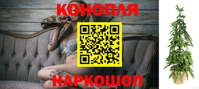 амфетамин Гай