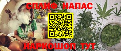 хмурый Гатчина
