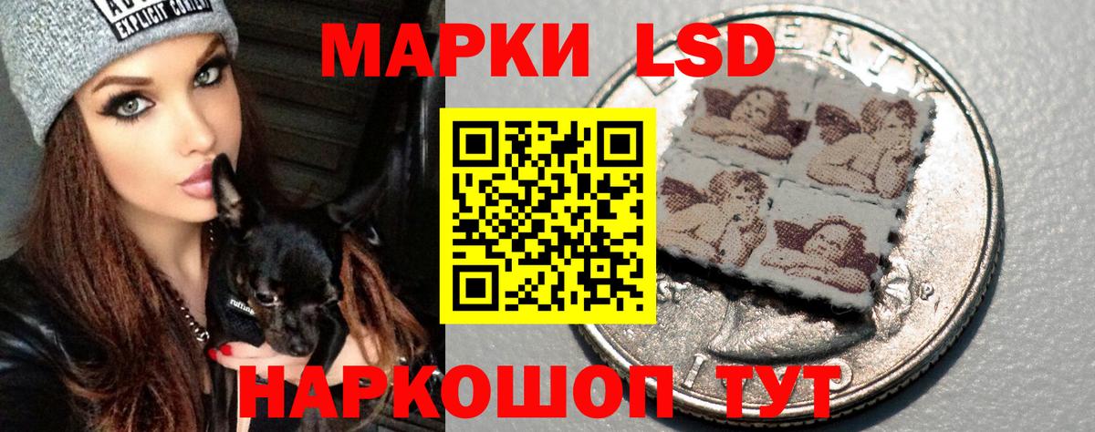 ЛСД экстази ecstasy  Вход с VPN  Дальнегорск  Лсд 25 экстази ecstasy 