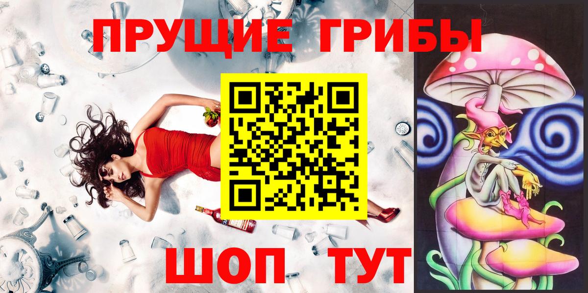 магазин продажи наркотиков  Галлюциногенные грибы мухоморы  Вход с VPN  Галлюциногенные грибы Magic Shrooms  Дальнегорск 