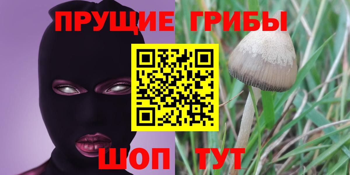 Псилоцибиновые грибы мухоморы Дальнегорск