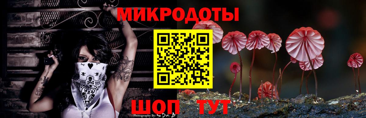 Галлюциногенные грибы Magic Shrooms  Псилоцибиновые грибы Cubensis  Дальнегорск 